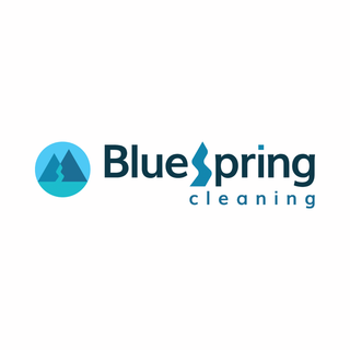 Blue Spring Cleaning logo