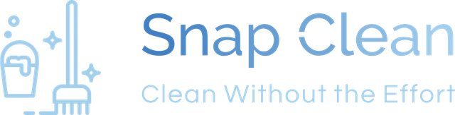 Snap Clean logo